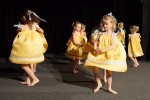 DSC02230 - 