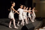 DSC02264 - 