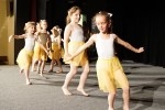 DSC02031 - 