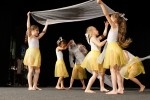 DSC02048 - 