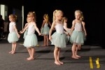 DSC02061 - 