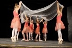 DSC02167 - 